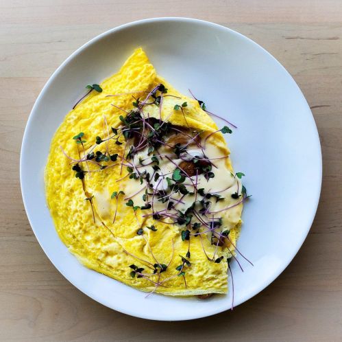 A fluffy omelette topped with microgreens and drizzled with a creamy sauce, served on a white plate.