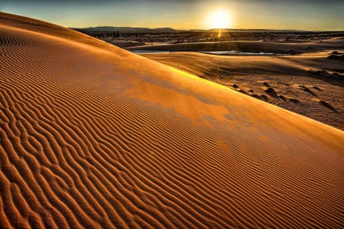 Sunrise over golden sand dunes, with rippled patterns and a serene landscape in the background.