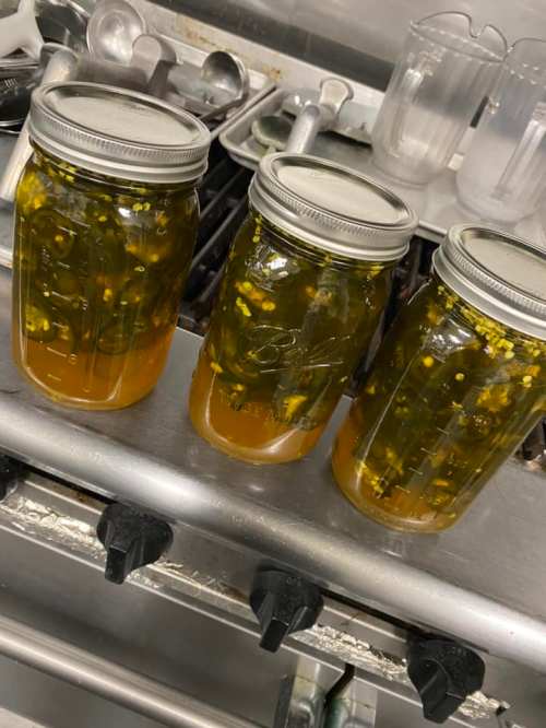 Three jars of pickled jalapeños sit on a kitchen counter, filled with yellow liquid and spices.