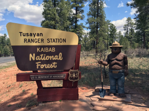 Sign for Tusayan Ranger Station in Kaibab National Forest, featuring a bear statue holding a shovel. Pine trees in background.