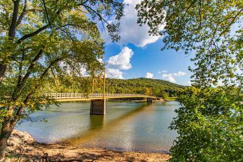 A scenic view of a suspension bridge over a calm river, surrounded by lush trees and a blue sky with clouds.