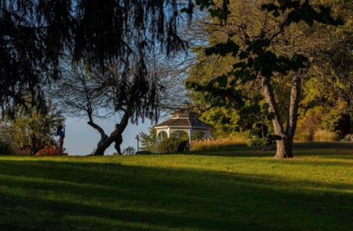 A serene park scene featuring a gazebo surrounded by trees and lush green grass under a clear blue sky.