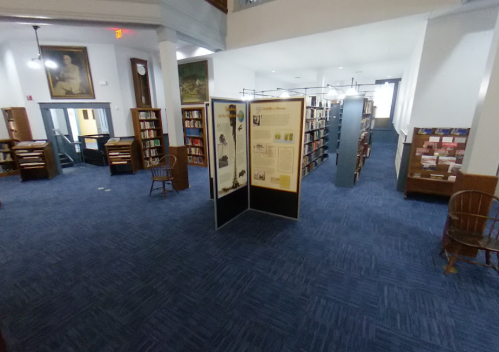 A spacious library with bookshelves, a display board, and wooden chairs on a blue carpet. Natural light from windows.