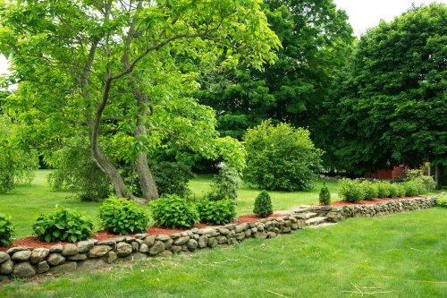 Lush green garden with trees, shrubs, and a stone wall lined with mulch, set in a serene landscape.