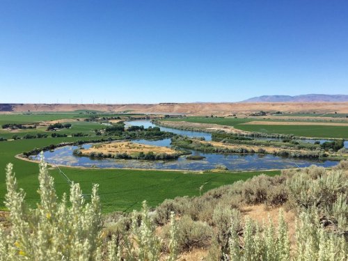 A scenic view of a winding river surrounded by lush green fields and distant mountains under a clear blue sky.