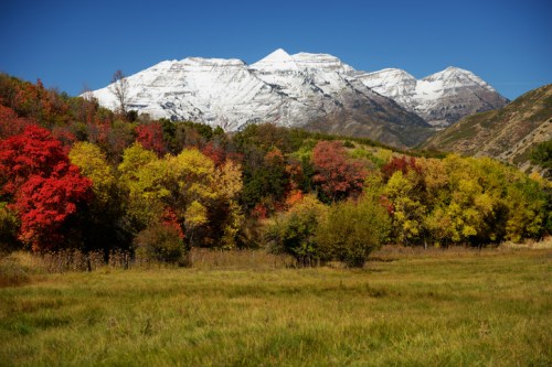 Snow-capped mountains rise above a vibrant landscape of autumn trees in shades of red, orange, and yellow.