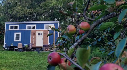 A blue tiny house surrounded by greenery and apple trees, with ripe apples visible in the foreground.