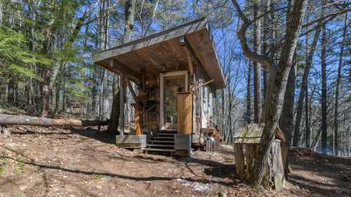 A small, rustic cabin nestled in a wooded area, surrounded by trees and a clear blue sky.