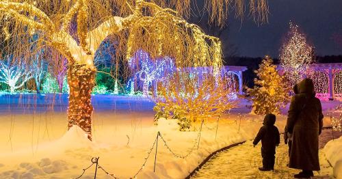 A child and an adult walk along a snowy path, surrounded by colorful holiday lights on trees and shrubs.