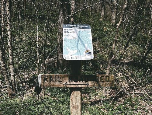 A wooden signpost in a forest with a map sign above it, indicating the Zumbro Bottoms area.