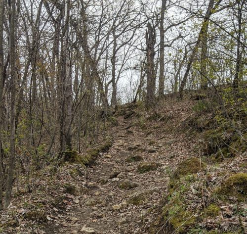 A narrow, winding dirt path leads uphill through a forest with bare trees and scattered leaves on the ground.