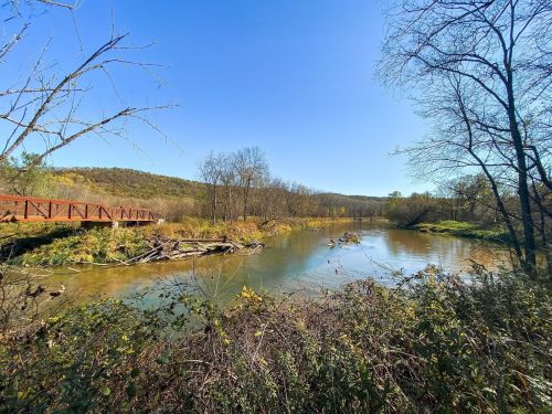A serene river scene with a wooden bridge, surrounded by trees and greenery under a clear blue sky.