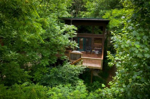 A cozy treehouse nestled among lush green trees, featuring a deck and outdoor seating.