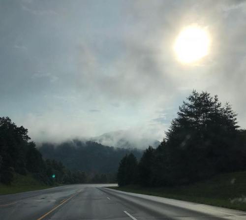 A misty road stretches ahead, flanked by trees, with a bright sun partially obscured by clouds in the sky.