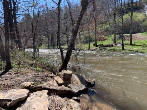 A serene river flows through a wooded area, with rocks and trees lining the banks under a clear blue sky.