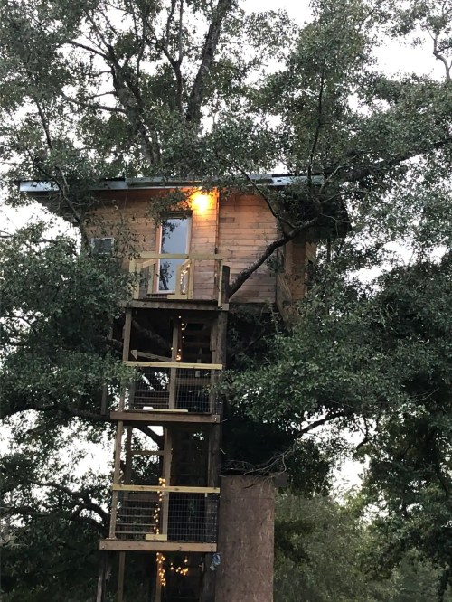 A wooden treehouse nestled in a large tree, featuring a staircase and warm light glowing from a window.