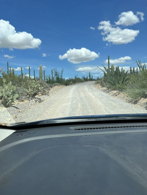 A gravel road winds through a desert landscape with cacti and blue skies dotted with fluffy clouds.