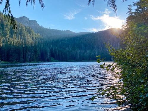 A serene lake surrounded by lush forests, with sunlight filtering through the trees and reflecting on the water.