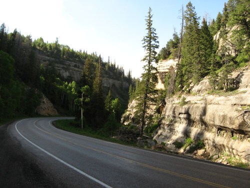 A winding road surrounded by tall trees and rocky cliffs under a clear blue sky.