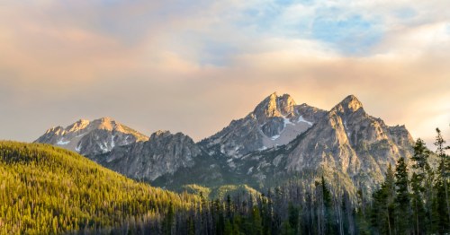 Forests cover the ground in front of the Sawtooth Mountains in Idaho.