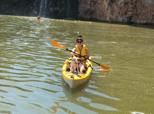A person in a yellow kayak paddles on a calm green lake, accompanied by a small dog. A waterfall is visible in the background.