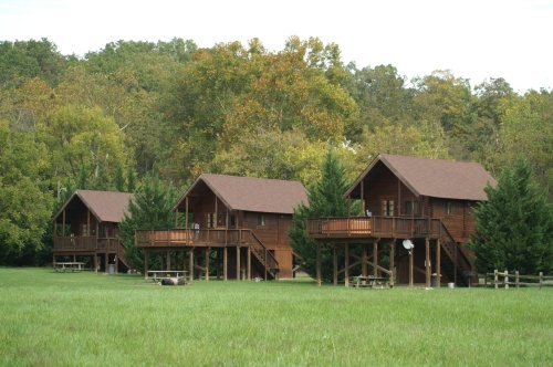 Three wooden cabins on stilts surrounded by green grass and trees under a cloudy sky.