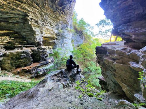 A person sits on a rock in a rocky canyon, surrounded by lush greenery and towering stone walls.