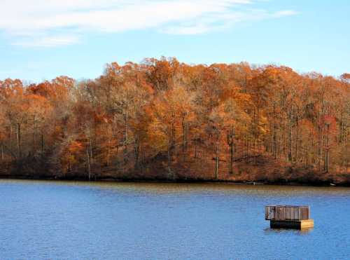 A serene lake surrounded by trees with autumn foliage, featuring a small wooden platform on the water.