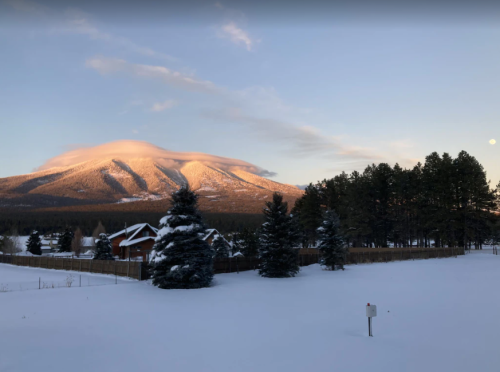 Snow-covered landscape with a mountain in the background, surrounded by evergreen trees and a clear sky.