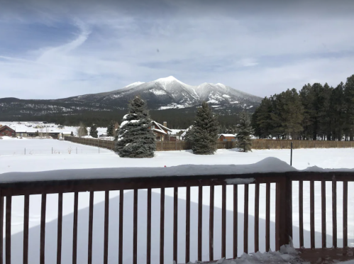 Snow-covered landscape with mountains in the background, pine trees, and a wooden railing in the foreground.