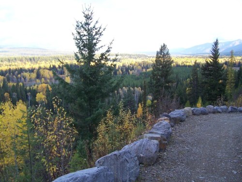 A scenic view of a forested landscape with vibrant autumn foliage and mountains in the distance, framed by a stone path.