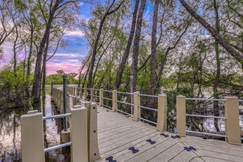 A wooden boardwalk surrounded by trees, leading into a serene wetland area under a colorful sky.