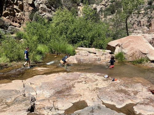 Three children play in a shallow stream surrounded by rocks and greenery in a natural outdoor setting.