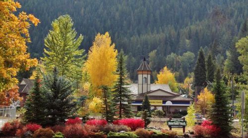 A scenic view of a colorful autumn landscape with trees and a building in the background, surrounded by vibrant foliage.