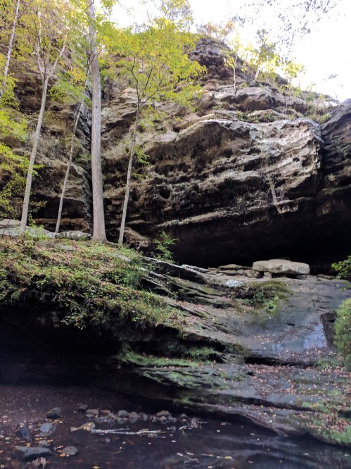 A rocky cliff with trees and greenery, overlooking a small stream in a serene natural setting.