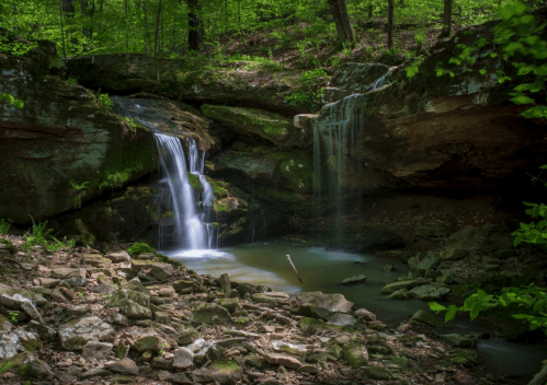 A serene forest scene featuring two small waterfalls cascading into a tranquil pool surrounded by lush greenery.