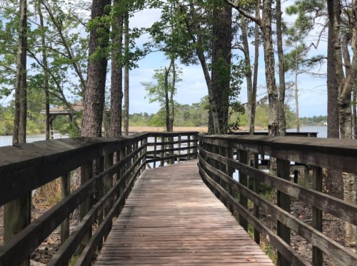 A wooden boardwalk winds through trees, leading to a serene water view under a clear sky.