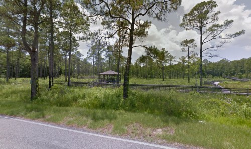 A wooden gazebo surrounded by tall trees and lush greenery, viewed from a roadside.