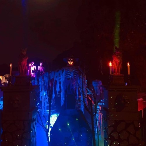 A spooky Halloween scene with skeletons, eerie lighting, and ghostly decorations in a dark setting.