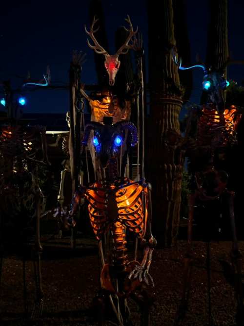 A group of illuminated skeletons with glowing eyes and festive decorations, set against a dark night sky.