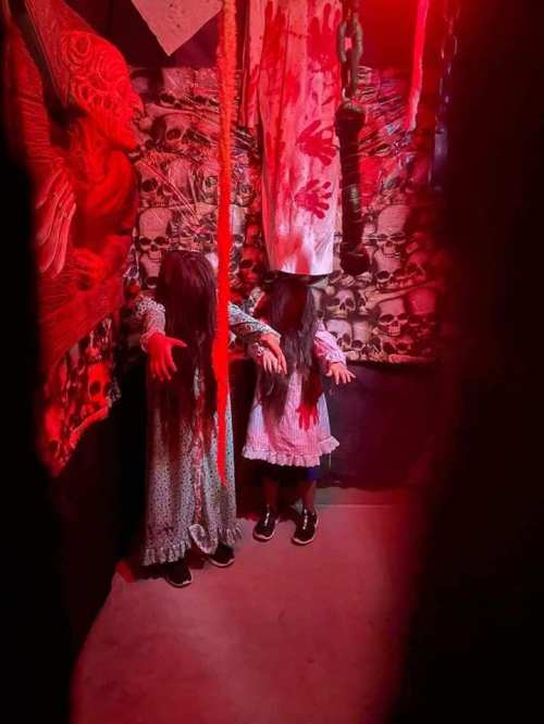 Two children in eerie dresses stand against a dark, blood-splattered wall adorned with skulls and horror-themed decor.