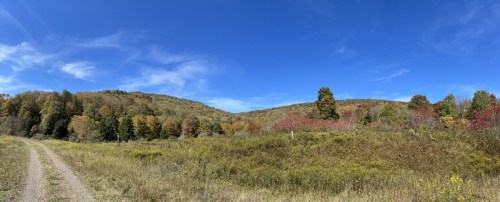 A panoramic view of a colorful autumn landscape with rolling hills, blue sky, and a dirt path.