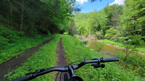 A bike handlebar in the foreground, with a lush green trail and a river surrounded by trees in the background.