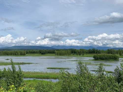 A serene landscape featuring a calm river, lush greenery, and distant mountains under a cloudy sky.