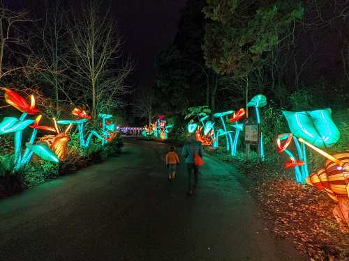 A pathway illuminated by colorful, glowing flowers at night, with two people walking together.