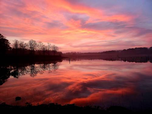 A serene lake at sunset, reflecting vibrant pink and orange hues with silhouetted trees along the shore.