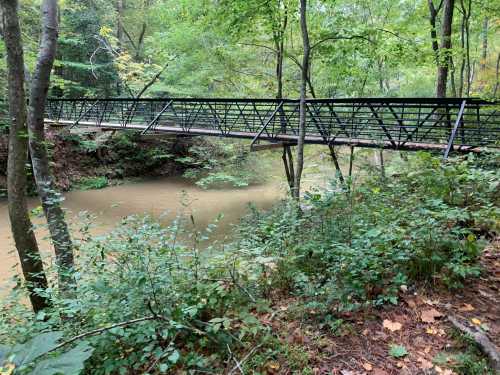 A metal bridge spans a calm, muddy river surrounded by lush green trees and foliage.