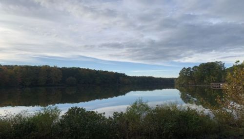 A serene lake surrounded by trees, reflecting the cloudy sky and autumn foliage.