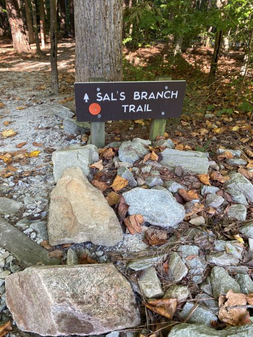 Sign for Sal's Branch Trail surrounded by rocks and fallen leaves in a wooded area.