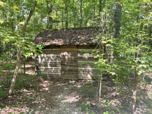 A small wooden cabin with a thatched roof, surrounded by lush green trees in a forested area.